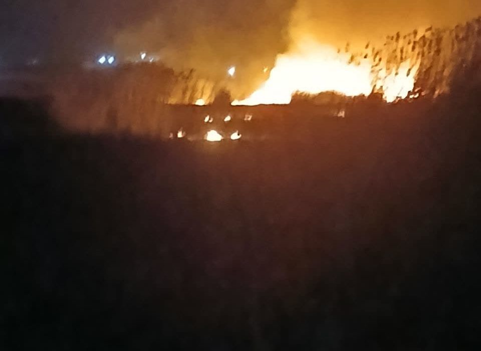 تش‌سوزی نیزارهای تالاب هفت برم و مهار آن توسط نیروهای محیط زیست در دقایق اولیه