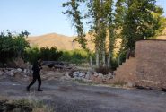 تشدید مقابله با ساخت و ساز های غیر مجاز در باغ های قصرالدشت شیراز