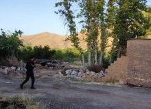 تشدید مقابله با ساخت و ساز های غیر مجاز در باغ های قصرالدشت شیراز