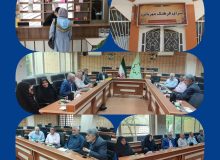 اجرای موفق طرح سرا های فرهنگ و مهربانی در شیراز