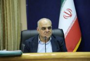 مطالبه بخش خصوصی استان بر پایلوت شدن اجرای طرح سرمایه گذاری برای تولید در فارس