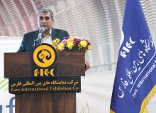 فارس رکوردار جمعیت دام سبک کشور