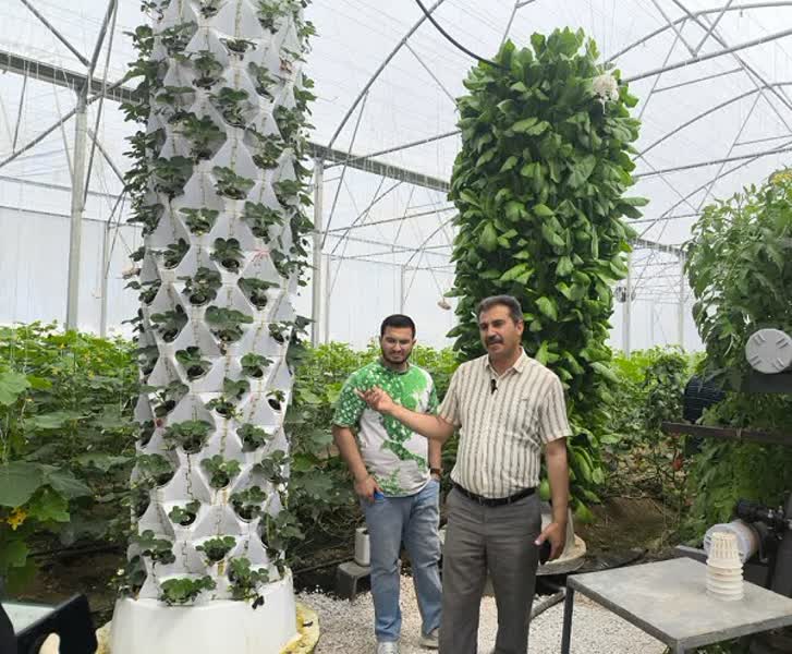 راه اندازی سیستم کشت عمودی ایروپونیک توسط گلخانهدار بیضایی