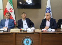 مدیرانی که در مقابل بخش خصوصی مقاومت می کنند، مدیران رانتی هستند