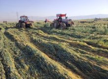 امحاء ۸۶۰ هکتار مزارع آلوده به فاضلاب خام در حومه شیراز