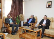 بررسی ظرفیت‌های تجارت الکترونیک در جلسه مدیران پست و تعاونی روستایی فارس انجام شد