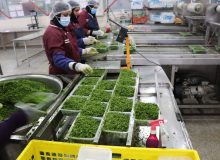 پیشگامی یک واحد تولیدی در شهرک صنعتی بزرگ شیراز در این پویش با ارائه محصولات با تخفیف ۴۰درصد 