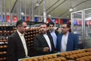 بازدید استاندار فارس از واحدهای تولیدی و صنایع  غذایی شهرک صنعتی بزرگ شیراز