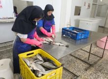 بهره برداری از واحد فرآوری و بسته بندی آبزیان در بیضا 