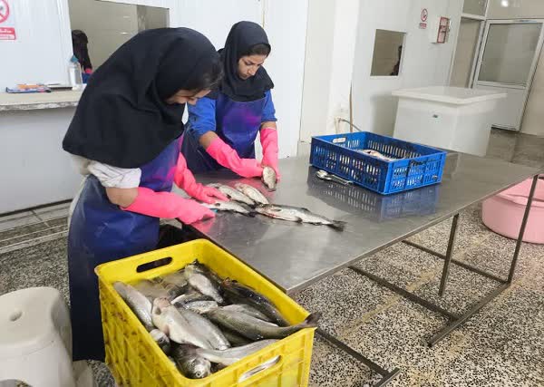 بهره برداری از واحد فرآوری و بسته بندی آبزیان در بیضا