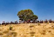 حماسه آفرینی تراکتورداران دشمن زیاری در بزرگترین برنامه آتش‌بُر مردمی کشور