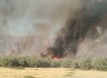 مهار آتش‌سوزی‌ها، برخورد با متخلفان و کشفیات قابل توجه در عرصه‌های طبیعی کازرون