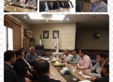 بررسی راهکارهای تسهیل انتقال مشاغل آلاینده به شهرک های صنفی شیراز   