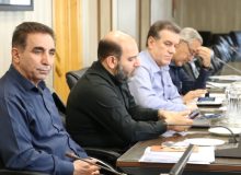 حمایت ویژه دولت از عشایر در تأمین نهاده‌های دامی در استان فارس