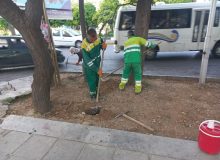 کاشت ۲۲ هزار گل گلدانی و اجرای ۱۷ هزار مترمربع نشاکاری در معابر و فضاهای سبز منطقه یک شیراز