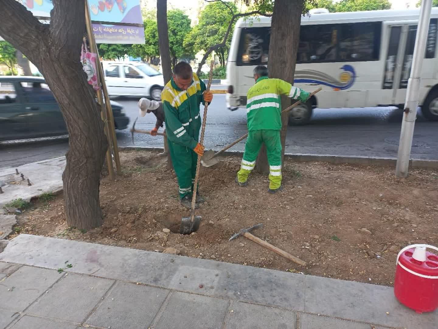 کاشت ۲۲ هزار گل گلدانی و اجرای ۱۷ هزار مترمربع نشاکاری در معابر و فضاهای سبز منطقه یک شیراز