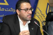 زائران اربعین برای دریافت یا تمدید گذرنامه اقدام کنند