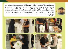 پسماندهای پلاستیکی؛ چالش محیط زیستی و ضرورت توسعه بازیافت در شیراز   