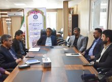 توسعه کتابخانه عمومی قاضی بیضاوی تصوب شد / نیاز ضروری شهرستان بیضا به ایجاد کتابخانه سیار