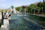 رهاسازی یک میلیون و ۴۰۰ هزار قطعه بچه ماهی در استخرهای کشاورزی فارس