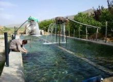 رهاسازی یک میلیون و ۴۰۰ هزار قطعه بچه ماهی در استخرهای کشاورزی فارس