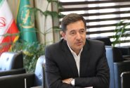 نوبرانه خرما از قطب تولید کشور روانه بازار شد