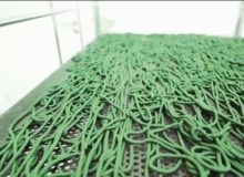 تولید ۶۱۰۰ کیلوگرم خمیر جلبک اسپیرولینا در فارس