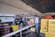 بهره برداری از ۲۲ واحد صنایع تبدیلی فارس