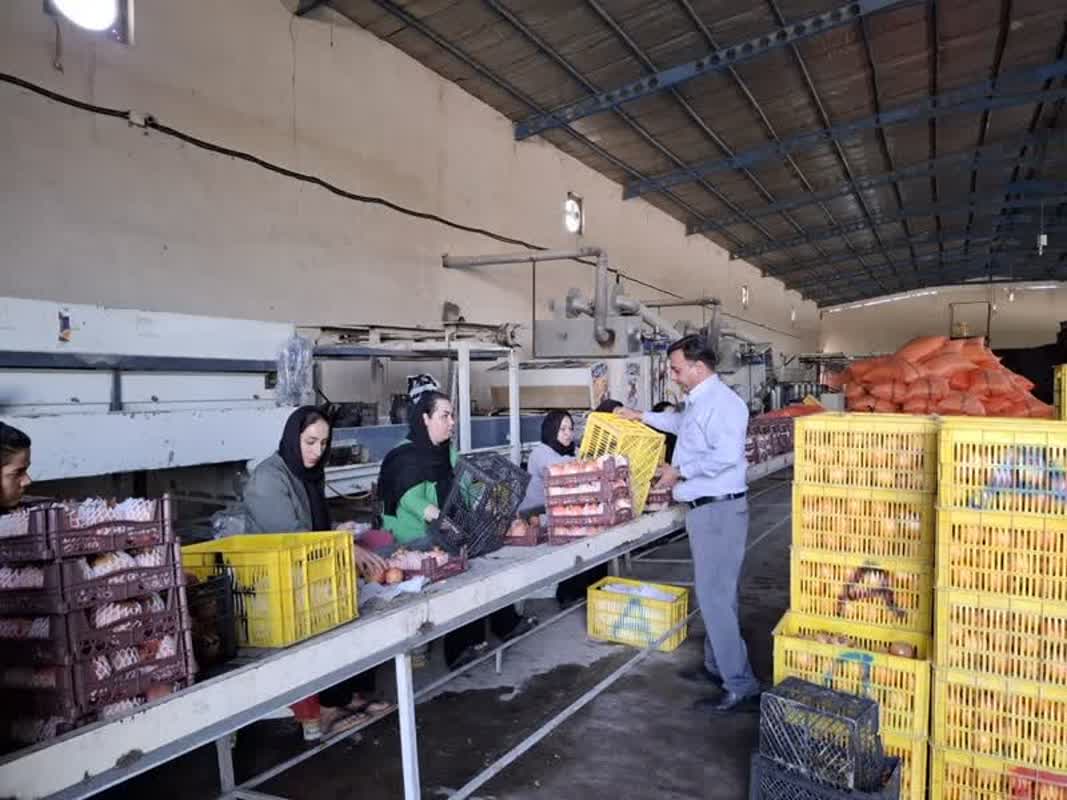 بهره برداری از ۲۲ واحد صنایع تبدیلی فارس