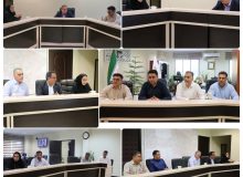 بررسی چالش های موجود در رسیدگی به درخواست های مردمی در سامانه ۱۳۷