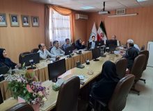 حمایت اداره کل استاندارد فارس از سرمایه گذاران و واحدهای تولیدی 