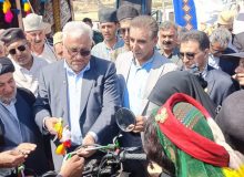 اجرای طرح ملی پست عشایری در استان فارس 