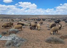 حل و فصل اختلافات مرزی مراتع قشلاق و قنات شور