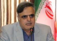 قصابی خوک کلاهبرداری جدید اینترنتی