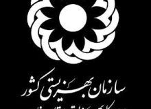 تأکید بهزیستی فارس بر اهمیت سلامت روان و نقش مشاوره در ارتقای کیفیت زندگی
