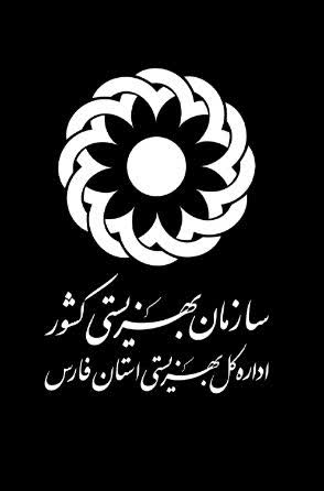 تأکید بهزیستی فارس بر اهمیت سلامت روان و نقش مشاوره در ارتقای کیفیت زندگی