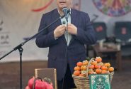 جشنواره ملی انار و خرمالو شیراز نسبت بین شیراز و باغ را یادآوری می‌کند