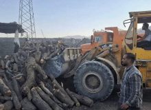 ۲۵ تن هیزم و ۱۱ تن زغال از قاچاقچیان چوب کشف شد/ برخورد قاطع با قاچاقچیان چوب در دستور کار‌ دادستانی کازرون