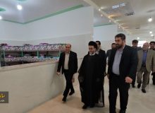 ۱۰۰ زندانی مجمتمع کاردرمانی شیراز از تسهیلات قضایی برخوردار شدند