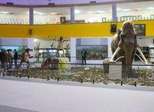 غنی‌ترشدن گنجینه زمین‌شناسی موزه تاریخ‌ طبیعی دانشگاه شیراز