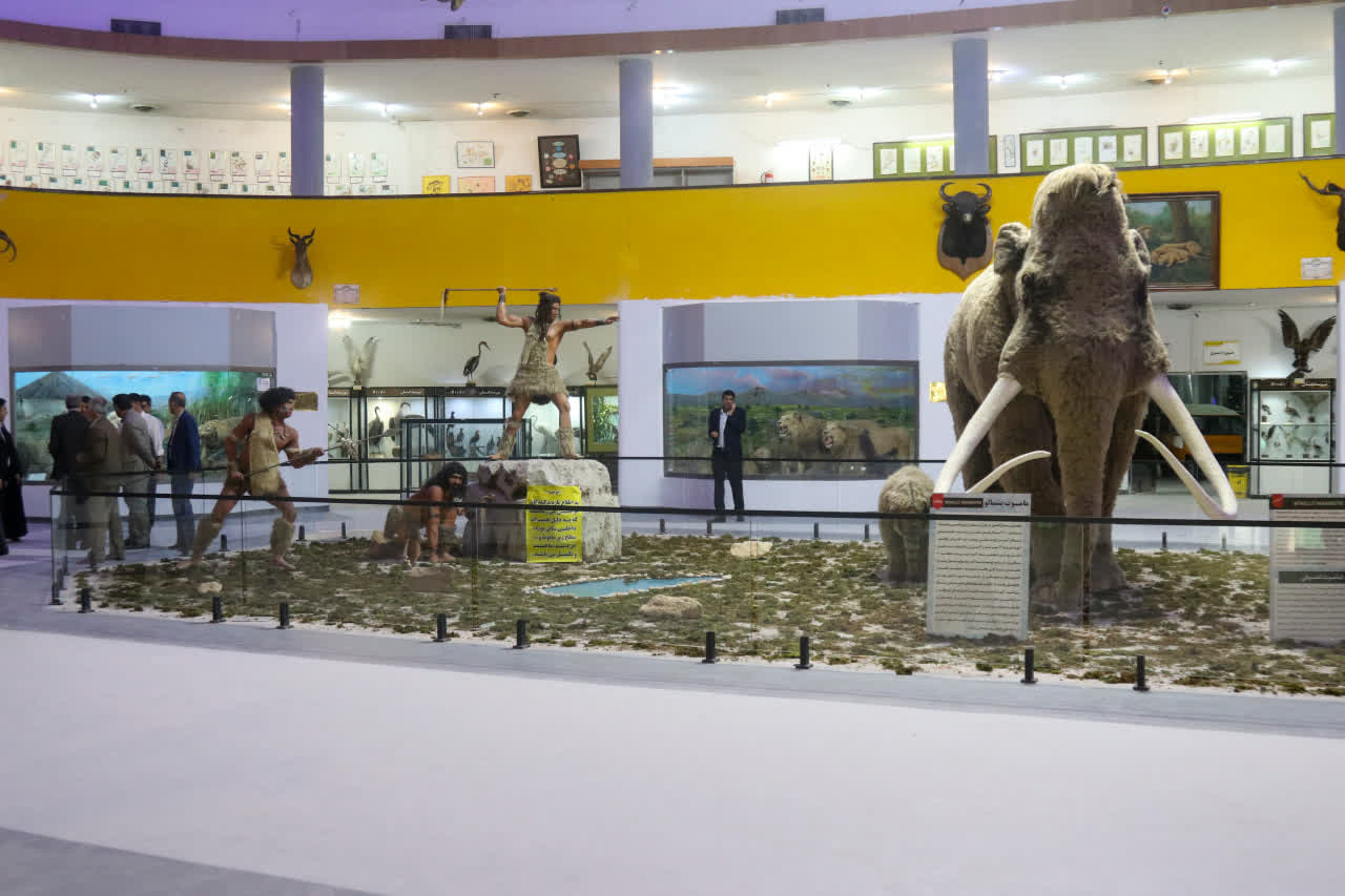 غنی‌ترشدن گنجینه زمین‌شناسی موزه تاریخ‌ طبیعی دانشگاه شیراز