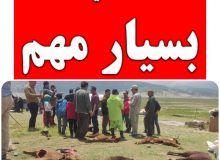 وضعیت آمادهباش در کلیه مناطق عشایرنشین استان فارس برقرار است