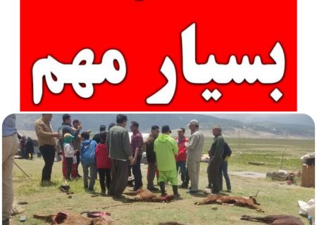 وضعیت آماده‌باش در کلیه مناطق عشایرنشین استان فارس برقرار است