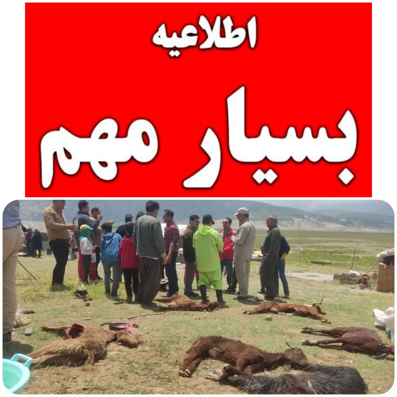 وضعیت آماده‌باش در کلیه مناطق عشایرنشین استان فارس برقرار است