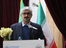 تنظیم بازار در گرو حضور پررنگ و مستمر تشکل‌های بخش کشاورزی است