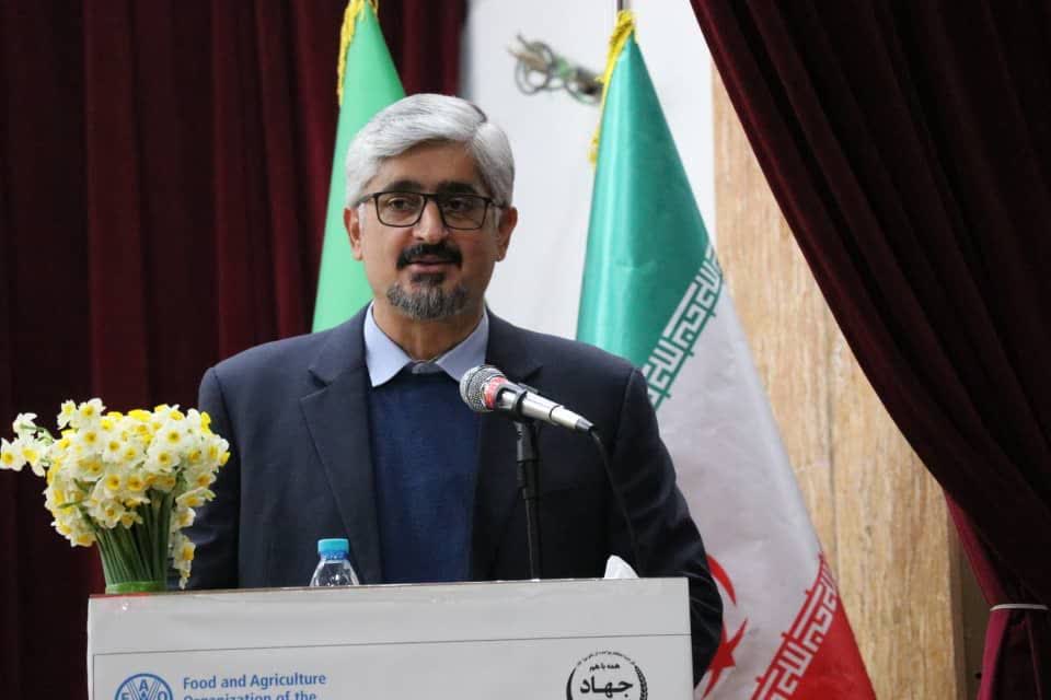 تنظیم بازار در گرو حضور پررنگ و مستمر تشکلهای بخش کشاورزی است