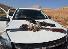 برخورد قاطع با شکار غیرمجاز در منطقه حفاظت شده کوه قلات وتنگ سرخ