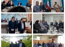 بازدید مدیرکل منابع طبیعی و آبخیزداری استان فارس از شهرستان آباده 